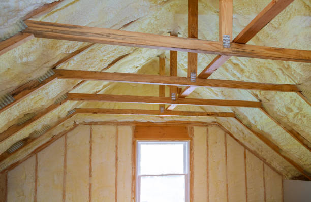 Best DIY Insulation Kits and Guidance in Orleans, IN