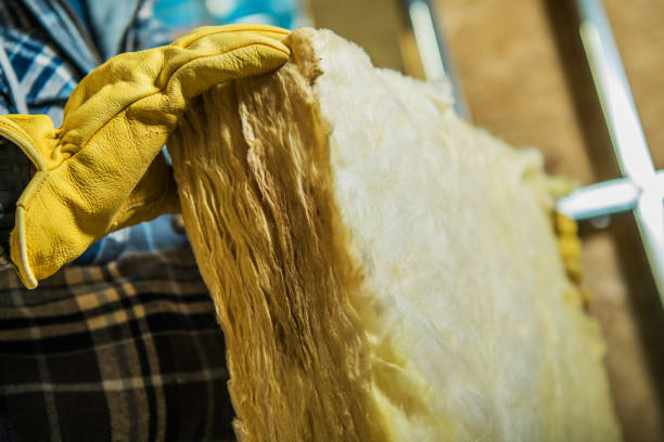 Best Geographic-Specific Insulation Services in Orleans, IN